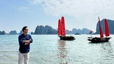 Vietnam Turizmi: Niteliksel ve niceliksel birçok gelişme