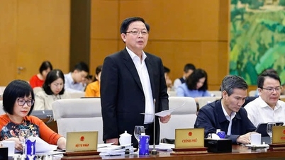 The draft law should be finalized in a way that strongly decentralizes power and eliminates unnecessary "sub-licenses".