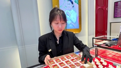 Actualización del precio del oro esta tarde, 3 de marzo de 2026: el precio del oro SJC disminuyó en 1,5 millones de VND, el precio mundial del oro aumentó en 51,9 USD.