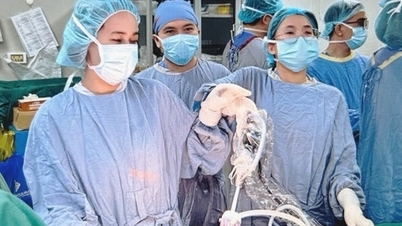 Un hombre que sufría de dolores abdominales persistentes acudió al médico y le diagnosticaron dos tipos de cáncer simultáneamente.