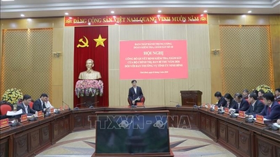 Ninh Binh İl Parti Komitesi Daimi Komitesinin Denetim ve Gözetimine İlişkin Kararın Duyurulması.