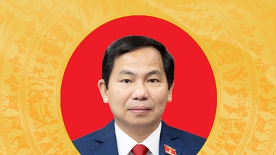 Brief biography and action plan of candidate for the 16th National Assembly of Ho Chi Minh City, Le Quang Manh