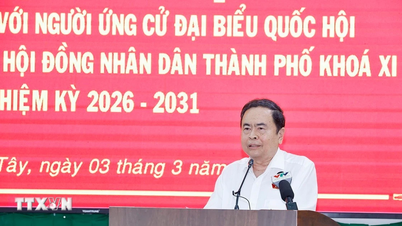 លោក ត្រឹន ថាញ់ ម៉ាន់ ប្រធានរដ្ឋសភា អញ្ជើញទៅទស្សនា និងធ្វើការជាមួយកងពលធំលេខ ៩។