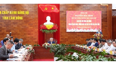 Permanent Deputy Prime Minister Nguyen Hoa Binh worked with Lam Dong province on resolving difficulties and obstacles for projects.