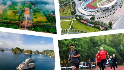 Promoting the role of the people and local authorities in preserving culture, developing tourism, and promoting physical education and sports.