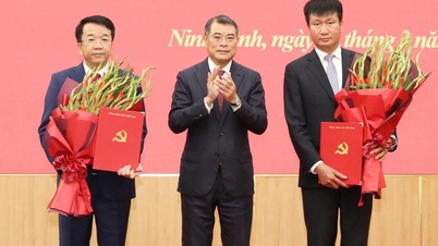 El Sr. Nguyen Thanh Binh ha sido nominado para ser elegido Presidente del Comité Popular de la provincia de Ninh Binh.
