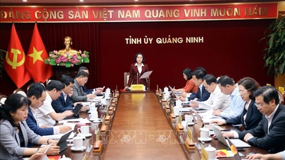 คณะกรรมการการเลือกตั้งแห่งชาติทำการตรวจสอบและกำกับดูแลในจังหวัดกวางนิง