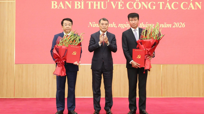M. Nguyen Thanh Binh a été proposé pour être élu président du Comité populaire de la province de Ninh Binh.
