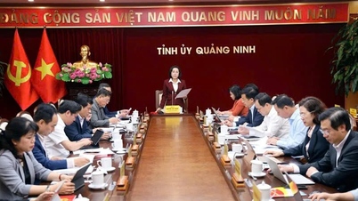 Nationalförsamlingens vice ordförande Nguyen Thi Thanh inspekterar valförberedelserna i Quang Ninh.
