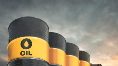 The supply of liquefied natural gas to Vietnam has been disrupted.