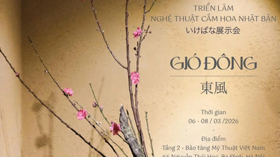 Ikebana-utställningen "Östanvind": Från den enkla skönheten till det pulserande livet i allting