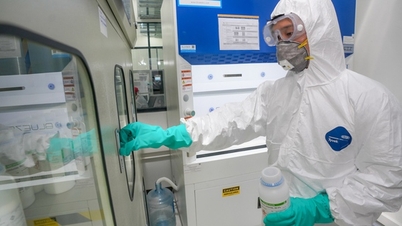 Activating new momentum for science and technology and innovation in Quang Ngai