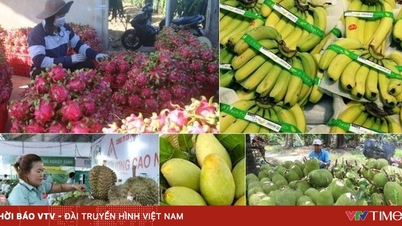 ការនាំចេញផ្លែឈើ និងបន្លែរបស់វៀតណាមបានកើនឡើងយ៉ាងឆាប់រហ័សចាប់តាំងពីដើមឆ្នាំមក។