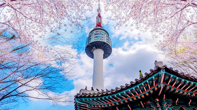Namsan Tower-tur – erobringen av Sør-Koreas fremste «tak»