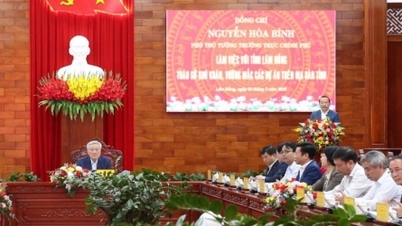 លុបបំបាត់ឧបសគ្គ និងការលំបាកសម្រាប់គម្រោងដែលលេចធ្លោនៅខេត្ត Lam Dong។