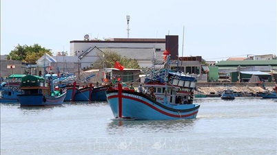 Menanggapi 'kartu kuning' IUU: Khanh Hoa memastikan transparansi dan menyediakan data lengkap sebagaimana yang dipersyaratkan.