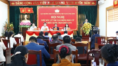Találkozó a választókkal és kampányolás a 16. nemzetgyűlési választásokon 3 községben: Tra Linh, Quang Trung és Nguyễn Huế.