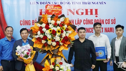 Cinotex Intelligence (Viet Nam) Co., Ltd میں ٹریڈ یونین کا قیام۔