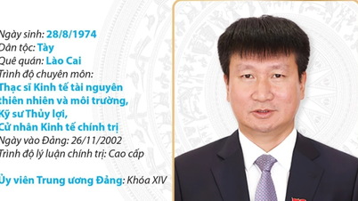 លោក ត្រឹន ហ៊ុយ ទួន លេខាធិការគណៈកម្មាធិការបក្សខេត្តនិញប៊ិញ
