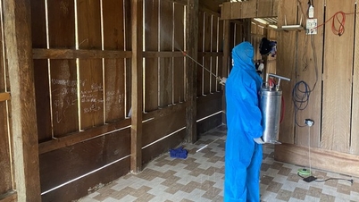 La provincia de Khanh Hoa está tomando medidas para prevenir brotes de malaria desde principios de año.