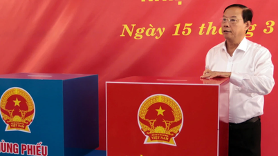 Ciudad Ho Chi Minh está decidida a garantizar los derechos de los votantes, especialmente de los pescadores.