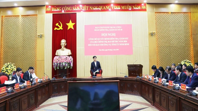 Ninh Binh İl Parti Daimi Komitesinin denetimi ve gözetimi konusunda Politbüro ve Sekreterliğin kararının duyurulması.
