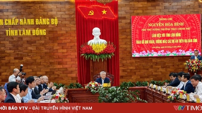 Deputy Prime Minister Nguyen Hoa Binh requested Lam Dong province to take decisive action to resolve outstanding projects under its jurisdiction.