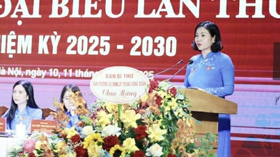 Chỉ định bà Nguyễn Thị Tuyến làm Bí thư Đảng ủy T.Ư Hội LHPN Việt Nam