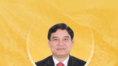 Biografi singkat dan rencana aksi calon anggota Majelis Nasional ke-16 Provinsi Tuyen Quang, Nguyen Dac Vinh.