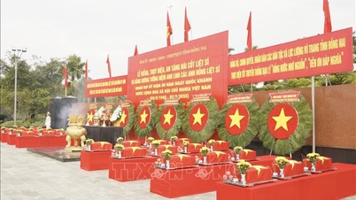 The '500-day and night campaign' aims to identify, search for, and collect the remains of fallen soldiers.