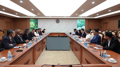 ADB se chystá schválit pro Vietnam 18 projektů s celkovým kapitálem 2,4 miliardy USD.