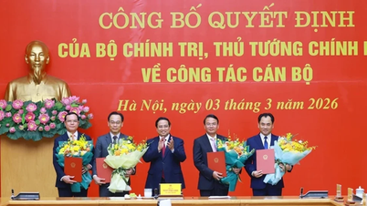 Perdana Menteri Pham Minh Chinh membentangkan Keputusan mengenai pemindahan dan pelantikan pemimpin Jawatankuasa Parti Kerajaan dan 4 kementerian dan agensi.