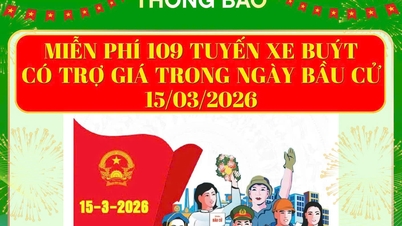 Ho Chi Minh-stad: Gratis bus- en metroritten (lijn 1) op verkiezingsdag, 15 maart.