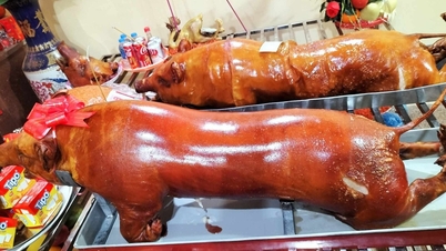 ជ្រូកអាំងពណ៌ត្នោតមាសជាង ៣០០ ក្បាលនៅឯពិធីបុណ្យវត្តង៉ាខាងជើង។