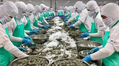 水産物輸出業者は中東の緊張に反応している。