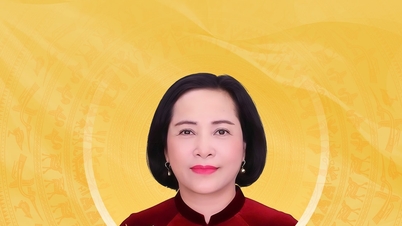 Tiểu sử tóm tắt và chương trình hành động của người ứng cử đại biểu Quốc hội khóa XVI tỉnh Ninh Bình Nguyễn Thị Thanh