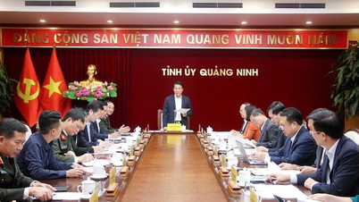 Công bố quyết định kiểm tra, giám sát của Bộ Chính trị, Ban Bí thư đối với Ban Thường vụ Tỉnh ủy Quảng Ninh