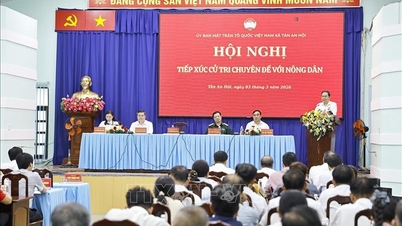 জাতীয় পরিষদের স্পিকার হো চি মিন সিটিতে ভোটার এবং কৃষকদের সাথে একটি বিষয়ভিত্তিক বৈঠক করেন।