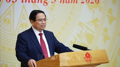 Pham Minh Chinh miniszterelnök elnökölt az IUU (illegális, be nem jelentett és szabályozatlan) halászattal foglalkozó nemzeti irányítóbizottság 32. ülésszakán.