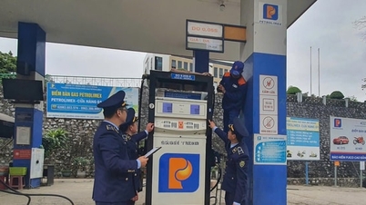 پٹرولیم کاروباری سرگرمیوں کے معائنہ اور کنٹرول کو مضبوط بنائیں۔