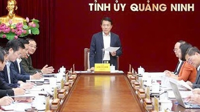 クアンニン省党委員会常務委員会に対する検査と監督の実施決定を発表。