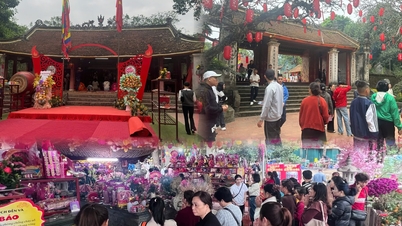В 2026 году фестиваль Va Temple Festival посетило большое количество людей.