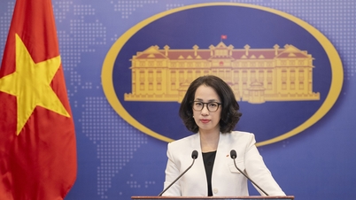 Vietnam, egemen devletlere karşı güç kullanımına karşıdır.
