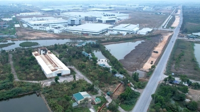 Quang Ninh: Concentrarea pe defrișări pentru a deservi proiecte chiar la începutul Anului Calului.