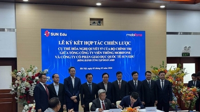 MobiFone collaborates with Sun Edu to develop digital technology human resources.