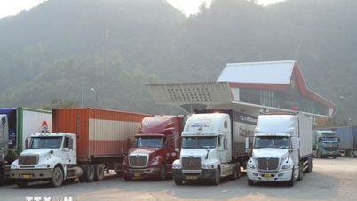 Proactively prepare and ensure the synchronized implementation of Decree 46 and Resolution 66.13.