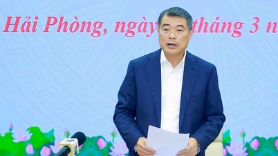 M. Le Minh Hung a présidé la conférence annonçant la décision relative à l'inspection et à la supervision à Hai Phong.