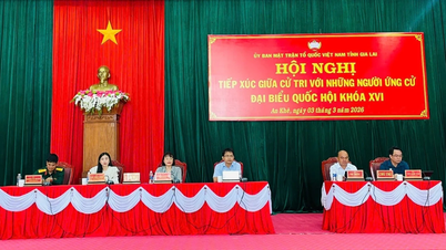 Các ứng cử viên ĐBQH khóa XVI nhấn mạnh tinh thần “hành động đi đôi với cam kết”