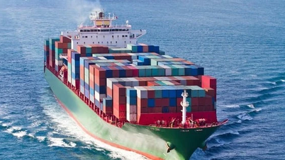 Garantizar la seguridad de los barcos y tripulaciones vietnamitas que operan en la región del Medio Oriente.