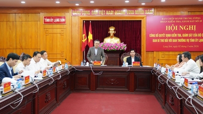 Annonce de la décision du Politburo et du Secrétariat d'inspecter et de superviser le Comité permanent du Comité provincial du Parti de Lang Son.